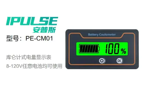 [303000009] 库仑计式电量显示表
